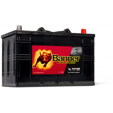 batterie BANNER PL/TP Buffalo Bull 61011 12V 110AH 800A